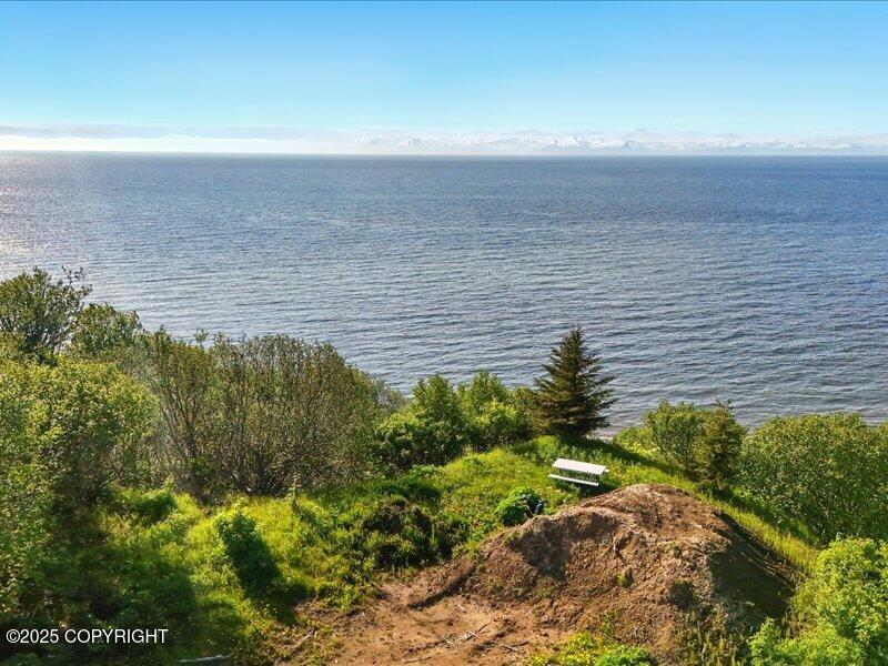 32775 Shorebird Lane, Anchor Point, Alaska image 15