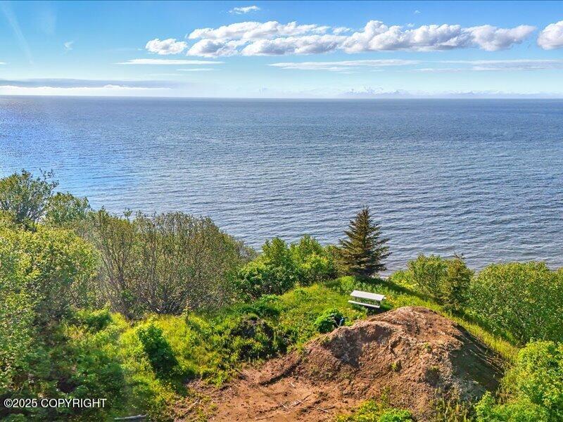 32775 Shorebird Lane, Anchor Point, Alaska image 2
