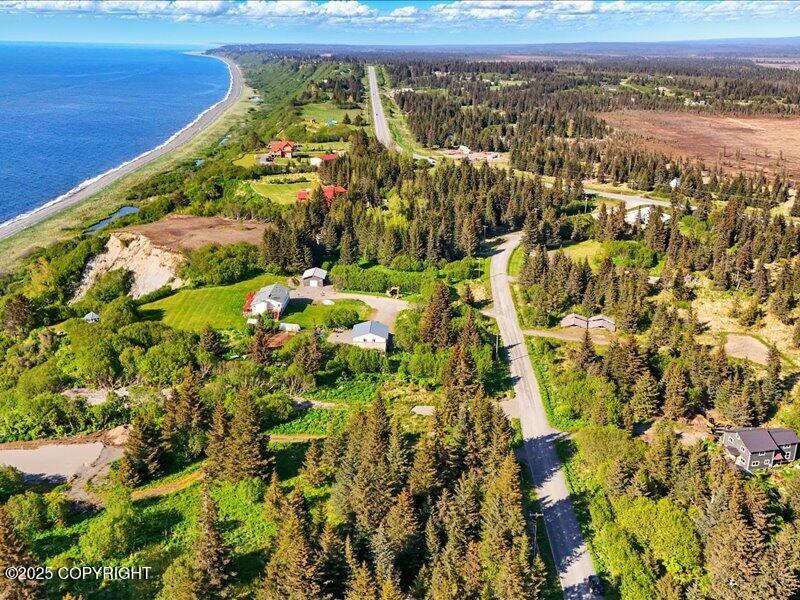 32775 Shorebird Lane, Anchor Point, Alaska image 8