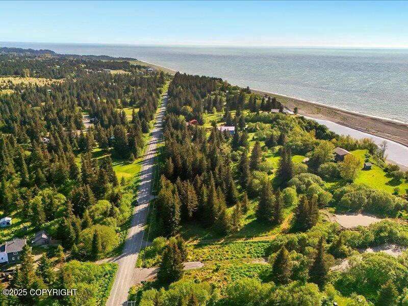 32775 Shorebird Lane, Anchor Point, Alaska image 17