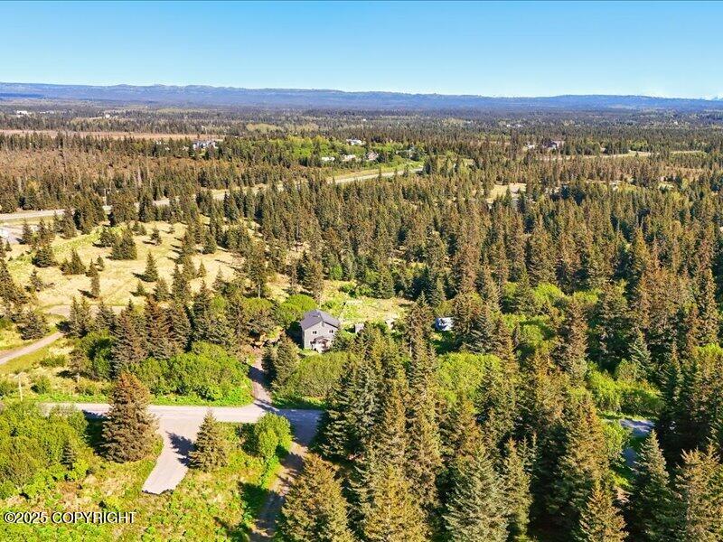 32775 Shorebird Lane, Anchor Point, Alaska image 11