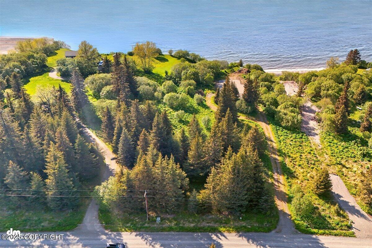 32775 Shorebird Lane, Anchor Point, Alaska image 1