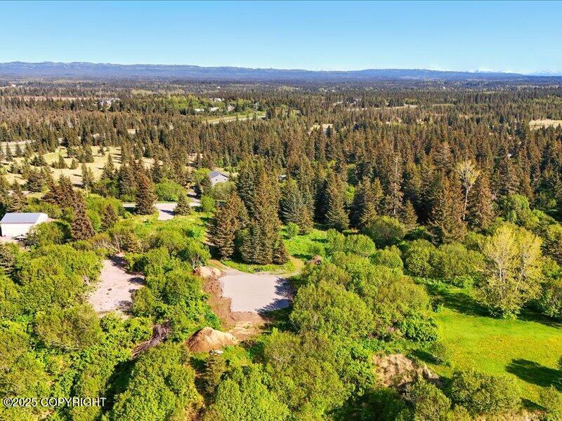 32775 Shorebird Lane, Anchor Point, Alaska image 13