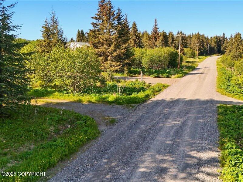 32775 Shorebird Lane, Anchor Point, Alaska image 14