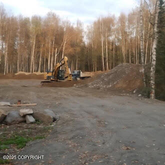 1541 S Leora Drive, Wasilla, Alaska image 1