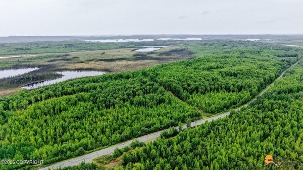 18472 W LAKES BLVD, BIG LAKE, AK 99652 - Image 20a135ce664f477cbb46a07da3d297f3/3047588351