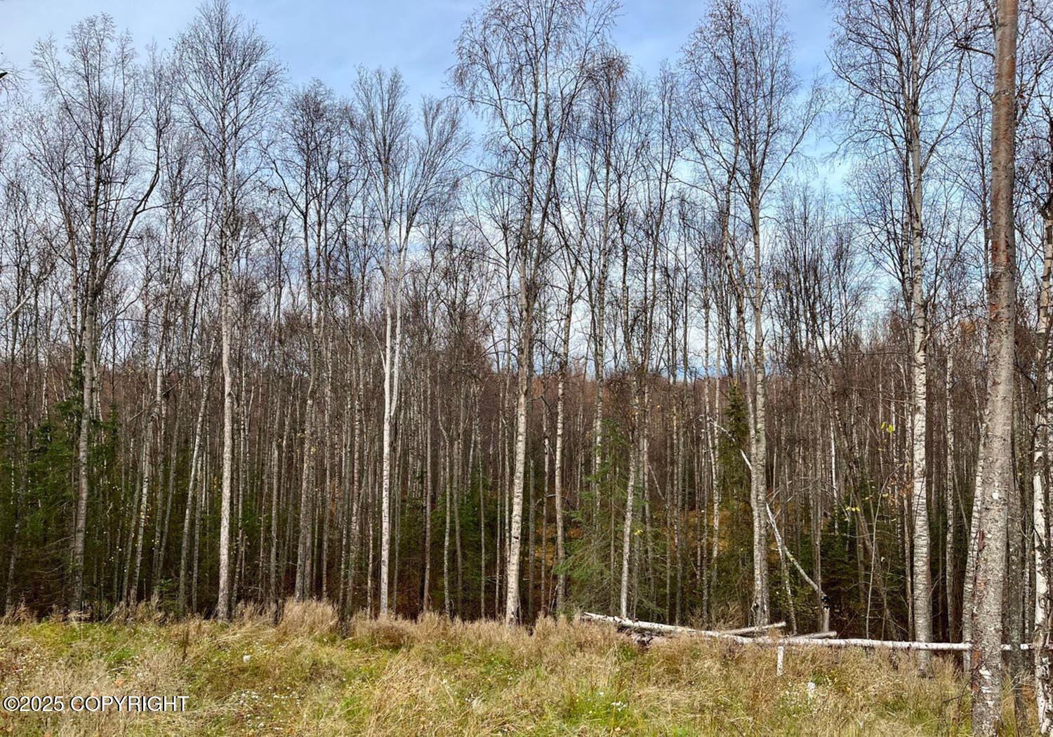 20880 E Birch Crk Boulevard, Talkeetna, Alaska image 1
