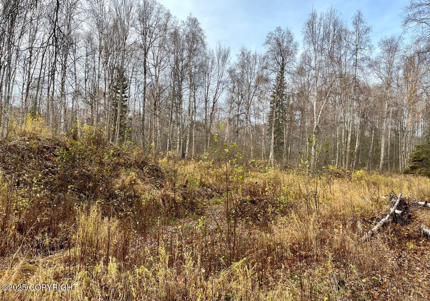 20880 E Birch Crk Boulevard, Talkeetna, Alaska image 3
