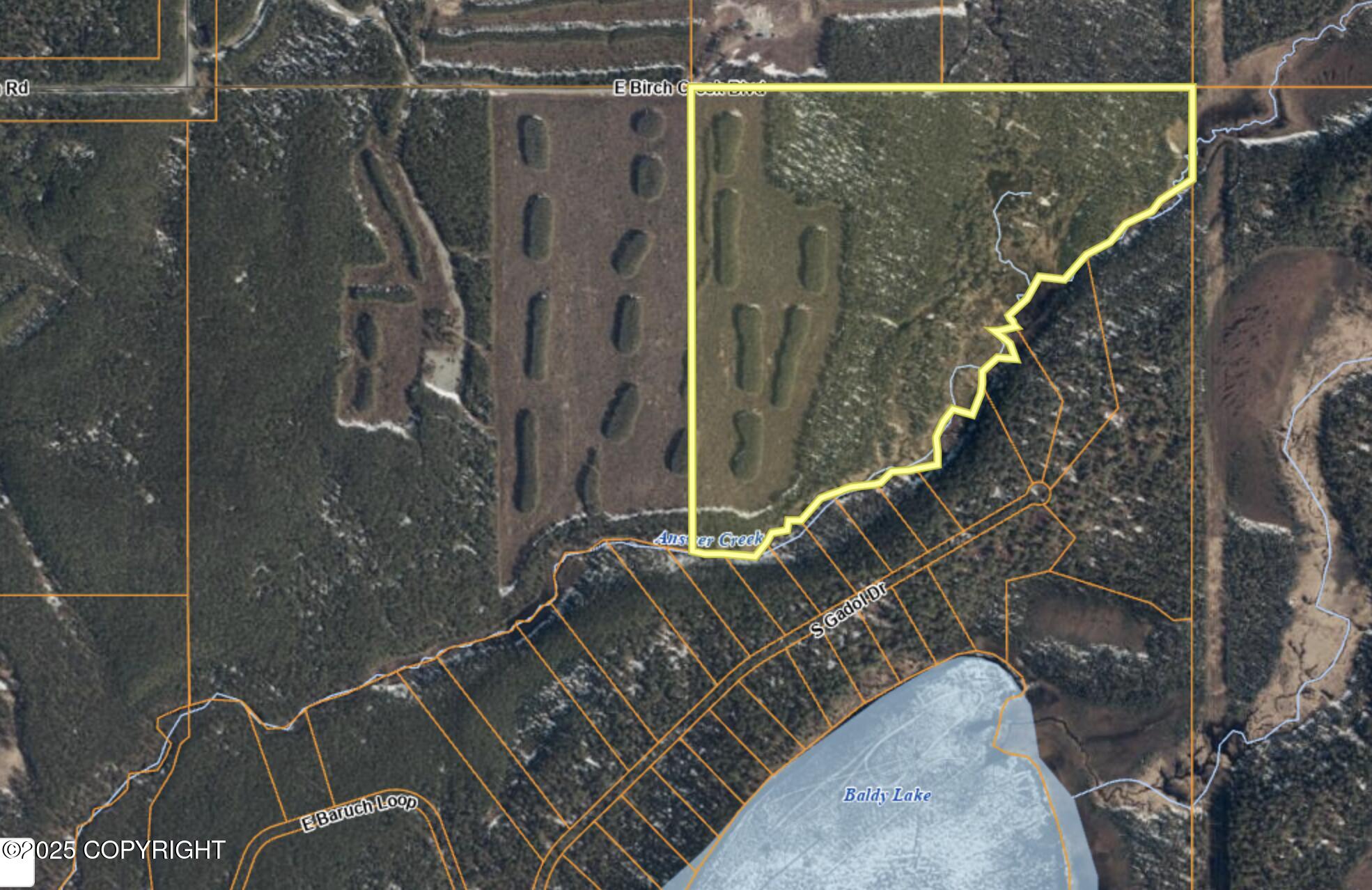 20880 E Birch Crk Boulevard, Talkeetna, Alaska image 2
