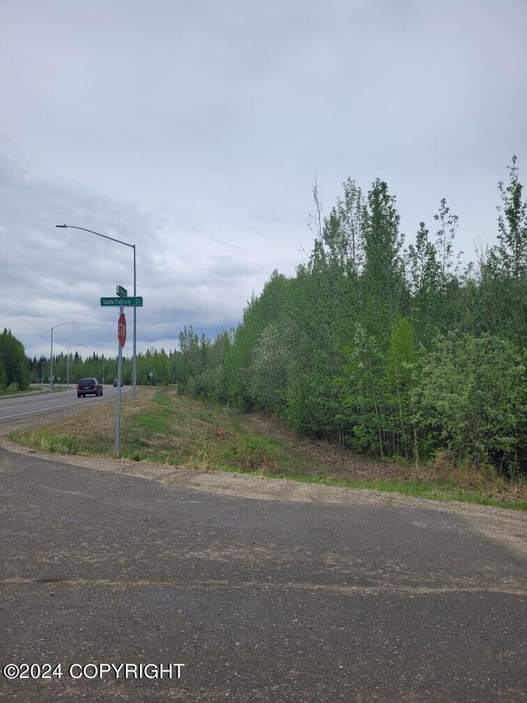 NHN Badger Road Road, North Pole, Alaska image 2