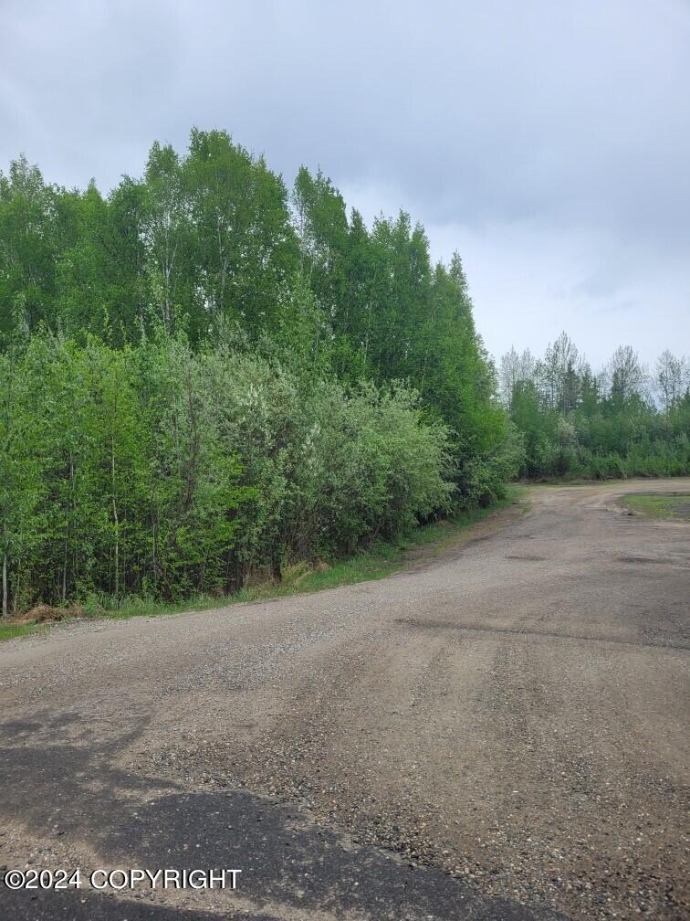 NHN Badger Road Road, North Pole, Alaska image 1