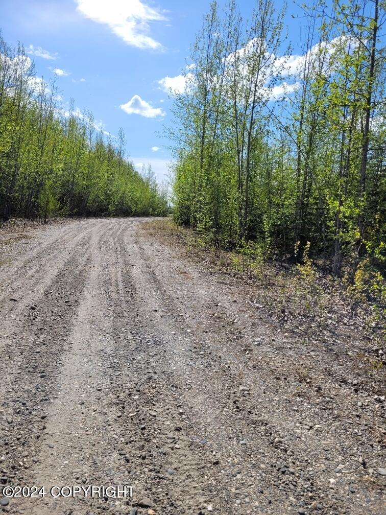 NHN Badger Road Road, North Pole, Alaska image 6