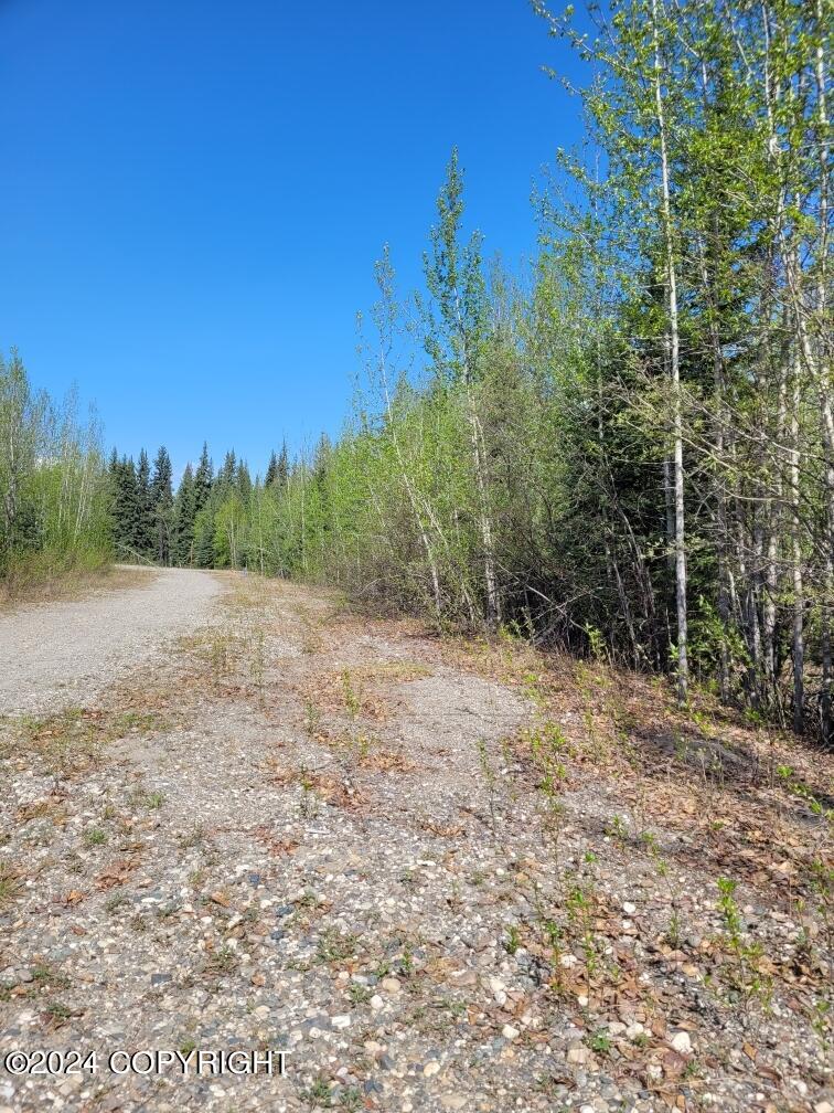 NHN Badger Road Road, North Pole, Alaska image 7