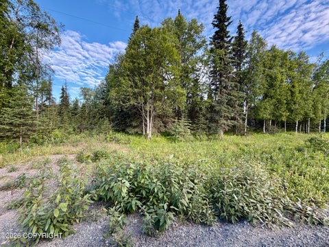 Photo of 45865 Dividend Street, Kenai, AK 99611 (MLS # 26-8395)
