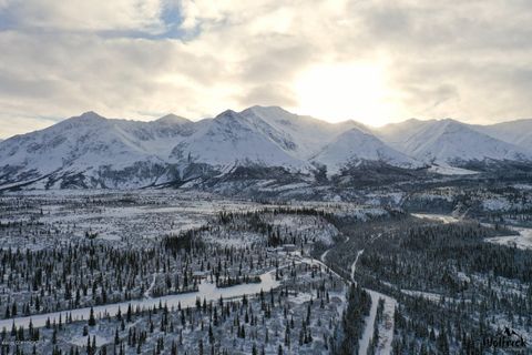 Vacant Land For Sale - B1-L1 Denali Jack River Canyon<br/> Cantwell, AK 99729