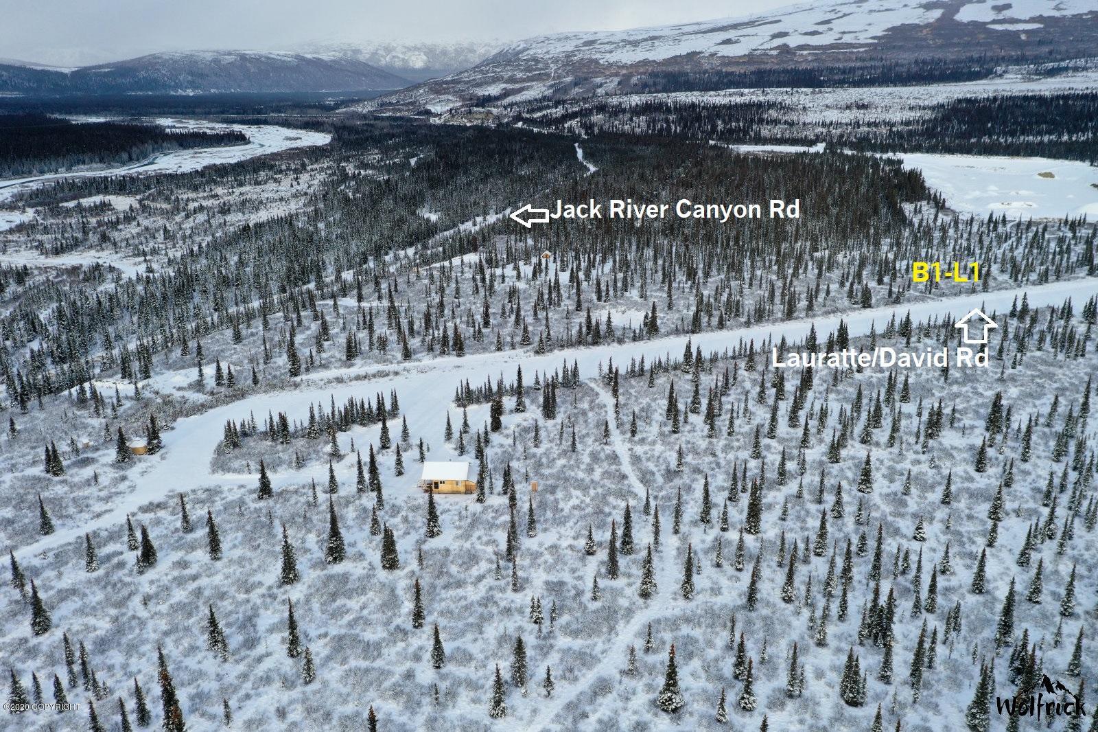 B1-L1 Denali Jack River Canyon, Cantwell, Alaska image 2