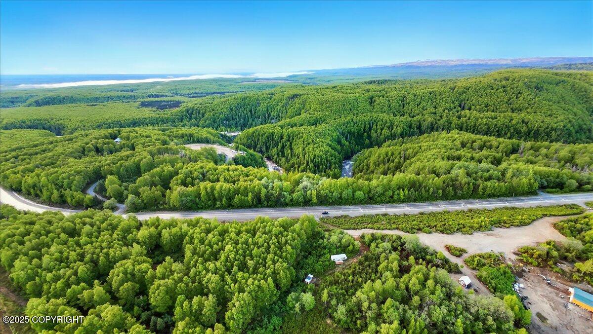 15946 W Willow Fishhook Road, Willow, Alaska image 18