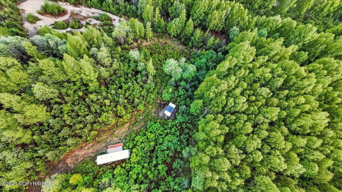 15946 W Willow Fishhook Road, Willow, Alaska image 28