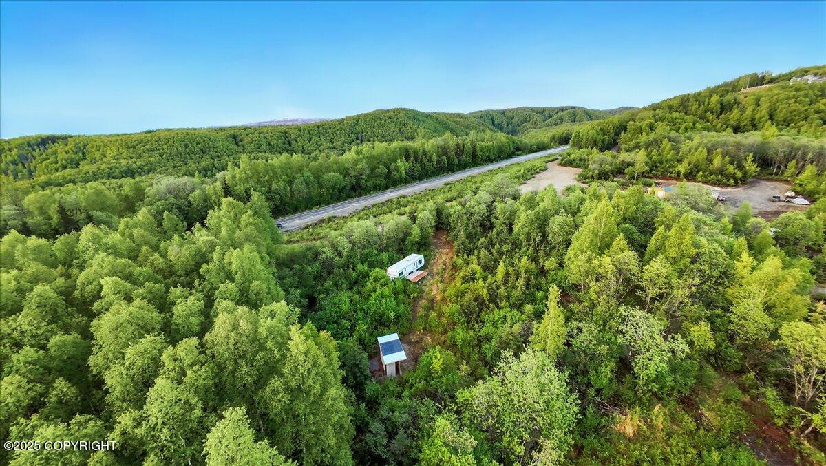 15946 W Willow Fishhook Road, Willow, Alaska image 3
