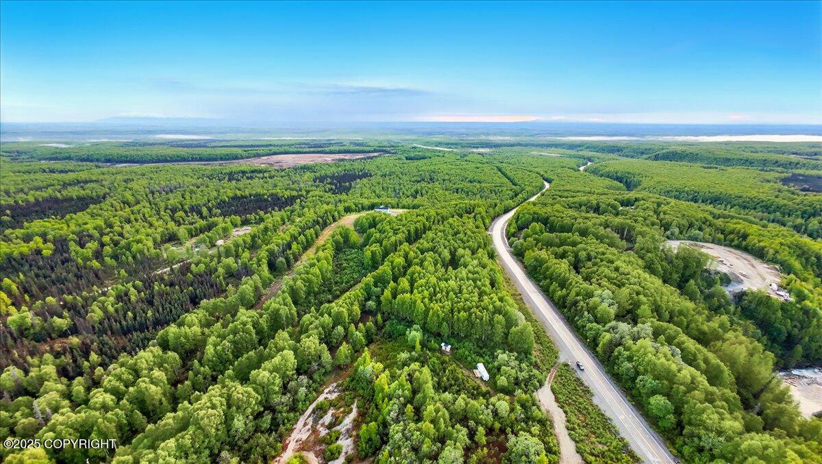 15946 W Willow Fishhook Road, Willow, Alaska image 20