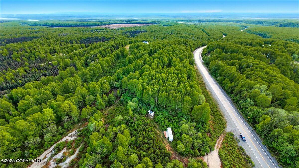 15946 W Willow Fishhook Road, Willow, Alaska image 10