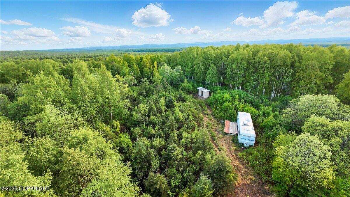 15946 W Willow Fishhook Road, Willow, Alaska image 1