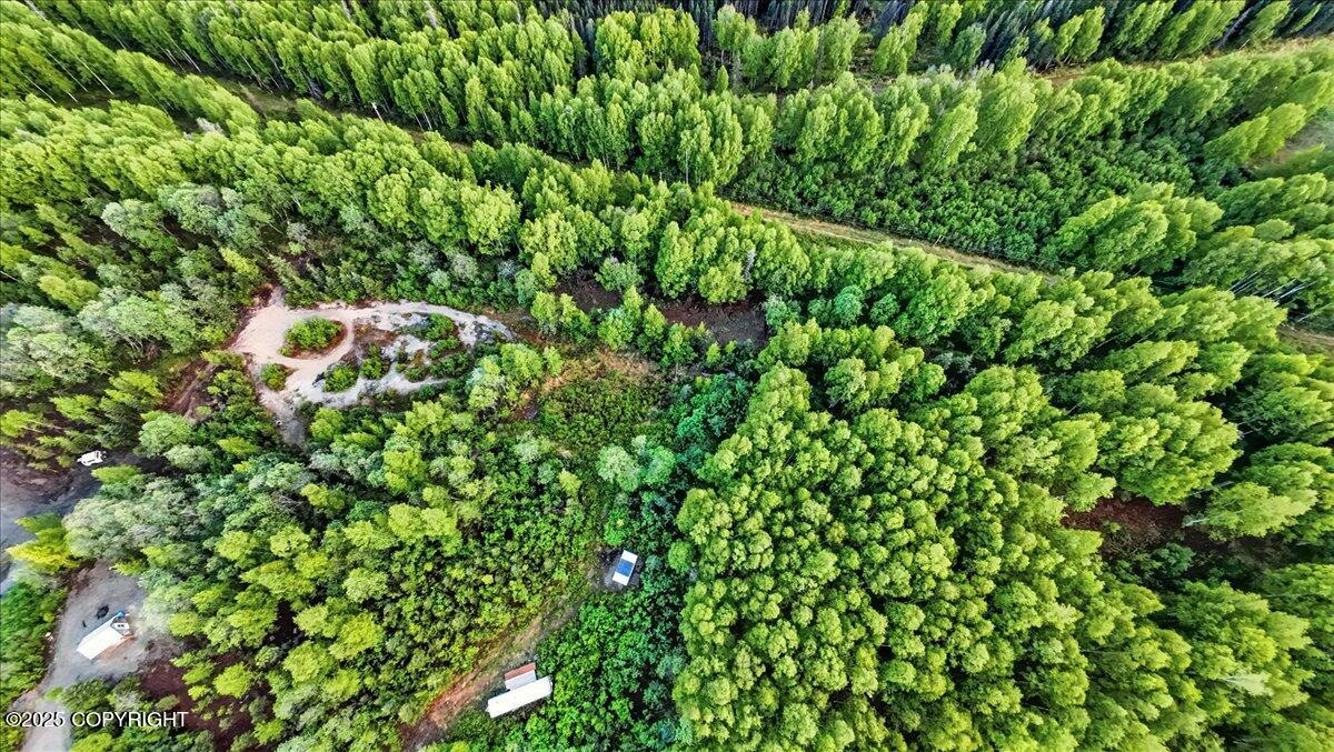 15946 W Willow Fishhook Road, Willow, Alaska image 25