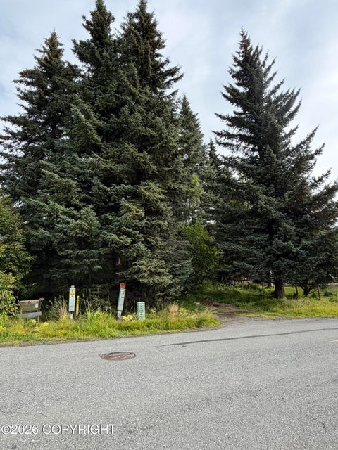 Vacant Land For Sale - 4768 Sabrina Road<br/> Homer, AK 99603