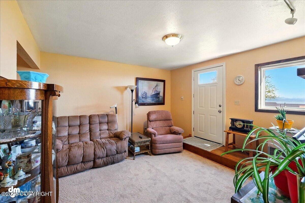 5301 N Glacier View Court, Homer, Alaska image 19