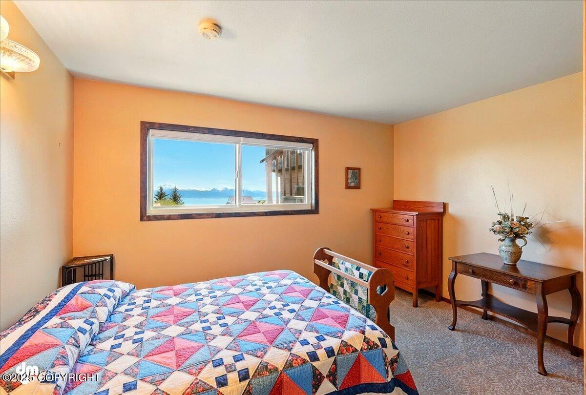 5301 N Glacier View Court, Homer, Alaska image 30