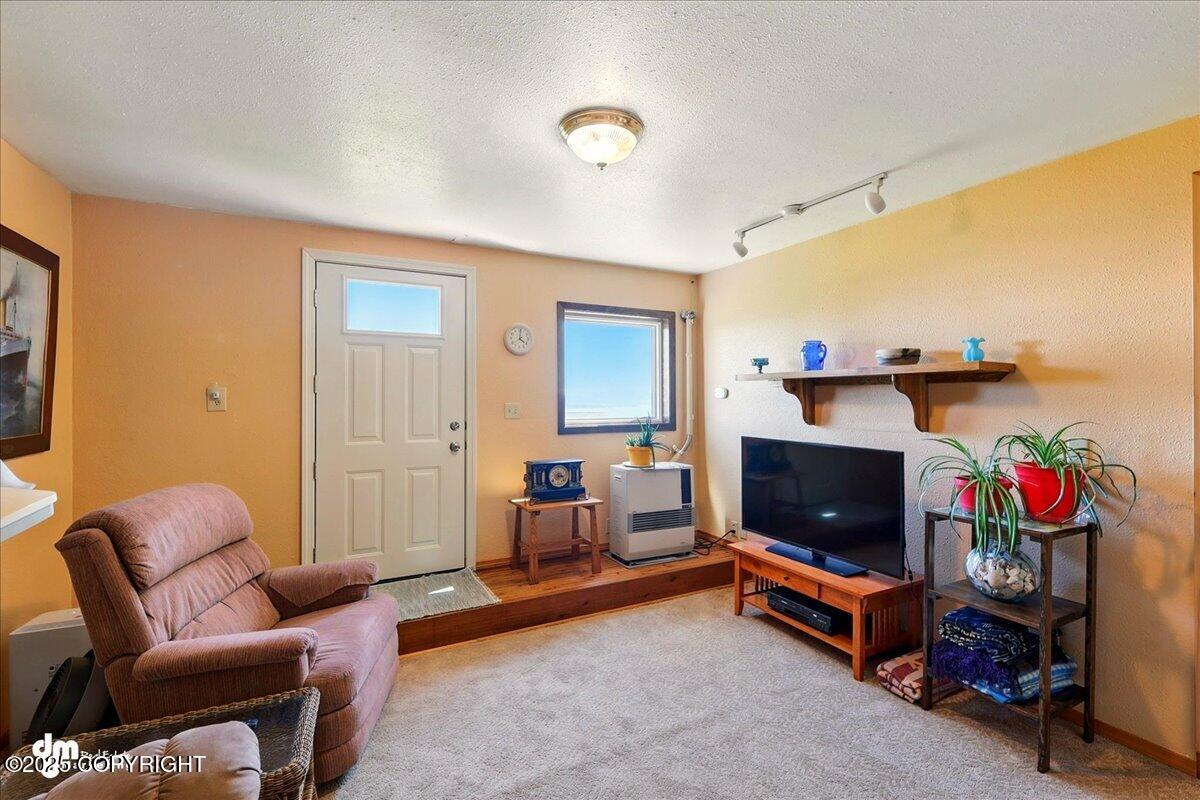 5301 N Glacier View Court, Homer, Alaska image 17