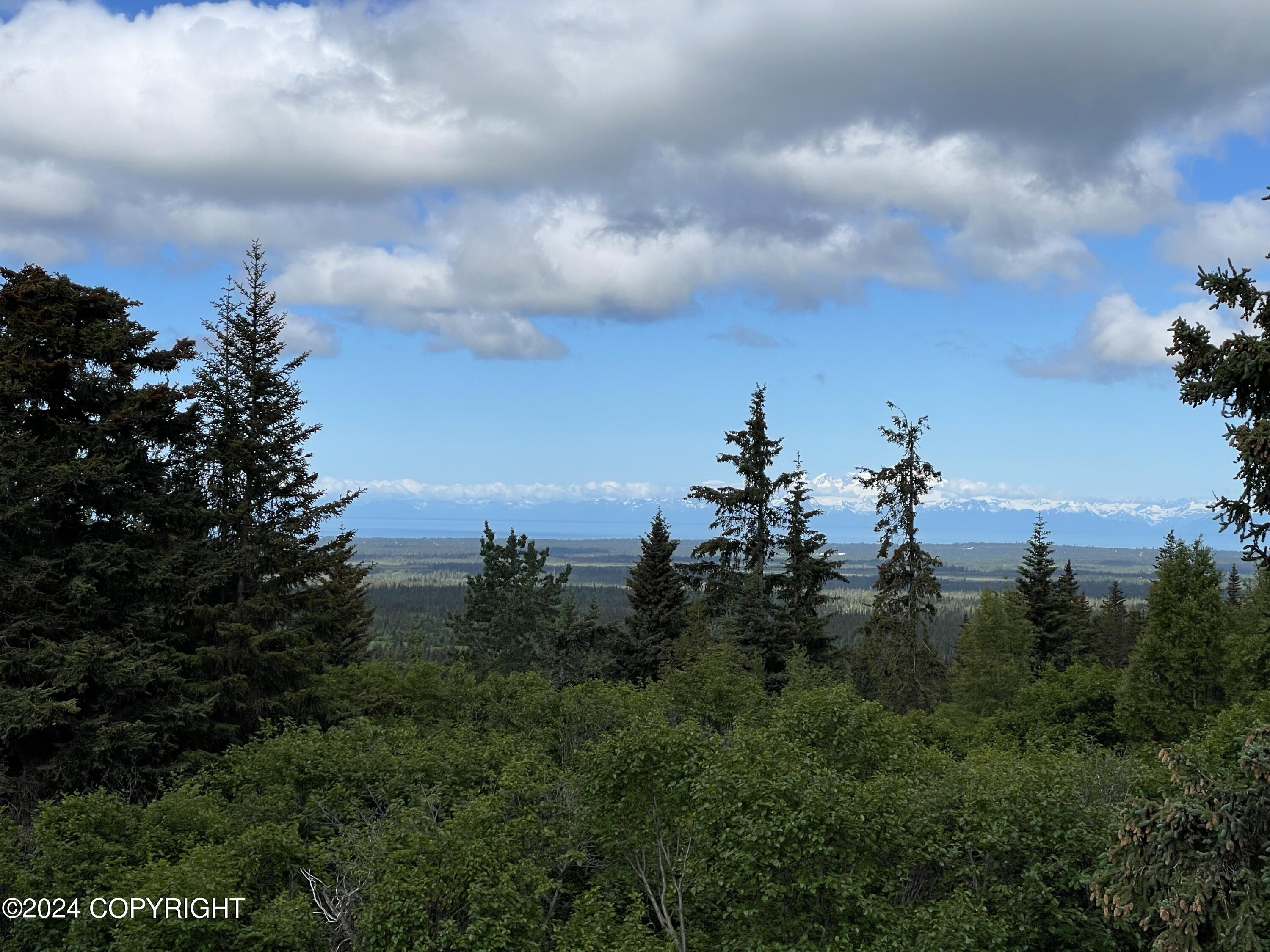 35621 N Fork Road, Anchor Point, Alaska image 37