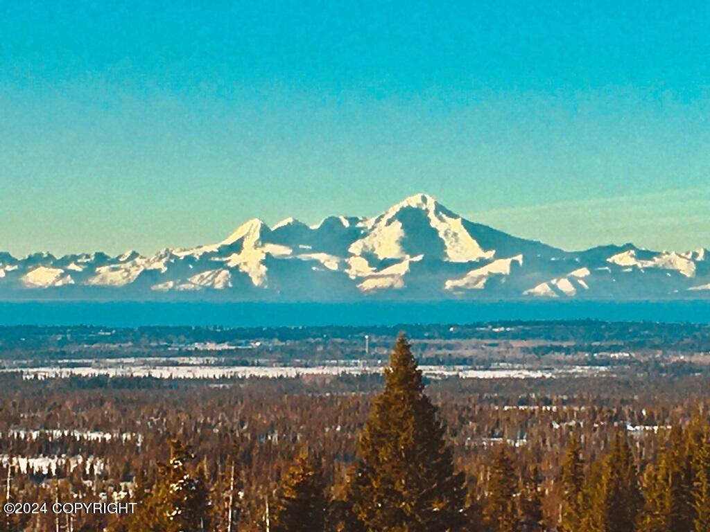 35621 N Fork Road, Anchor Point, Alaska image 3