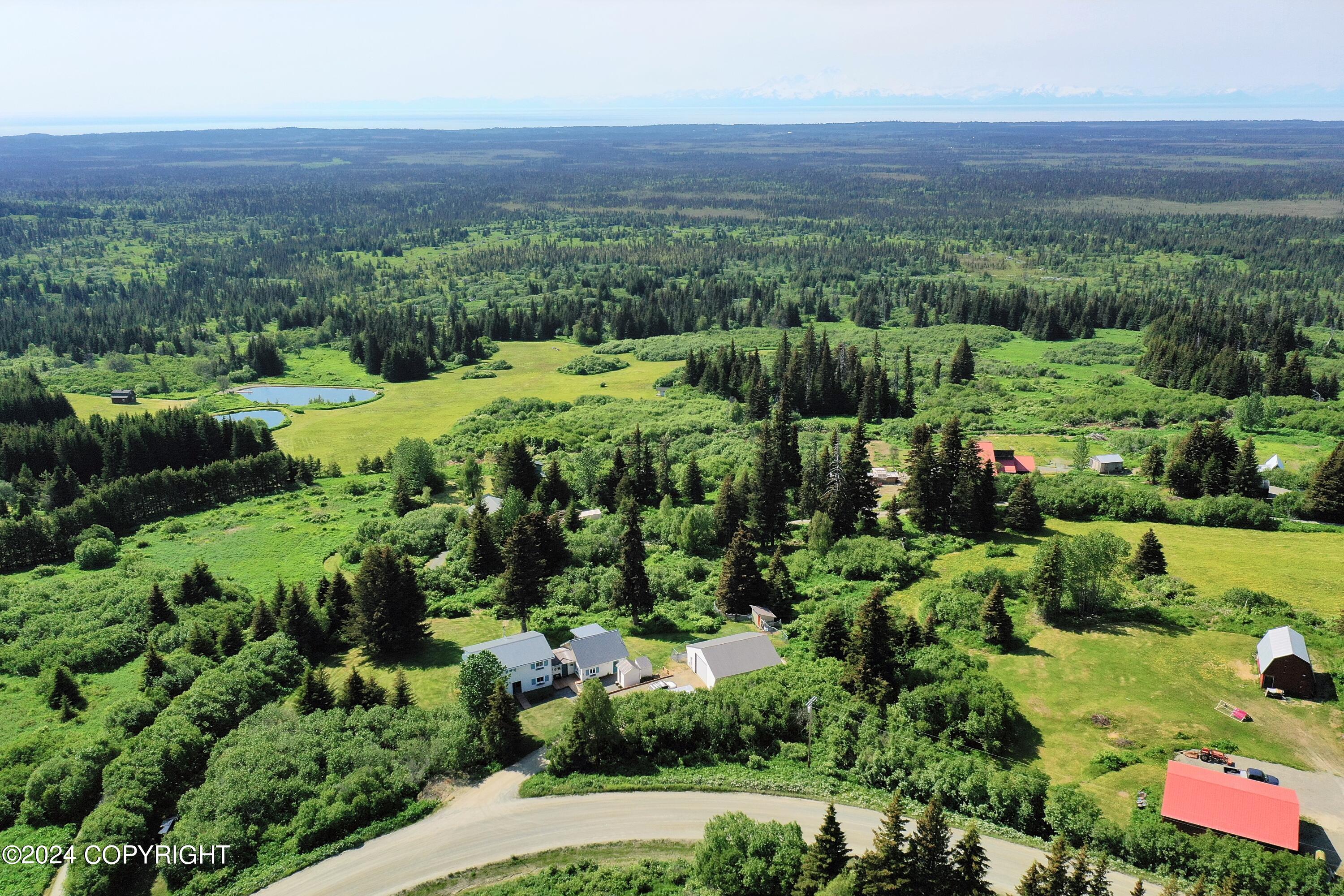 35621 N Fork Road, Anchor Point, Alaska image 41