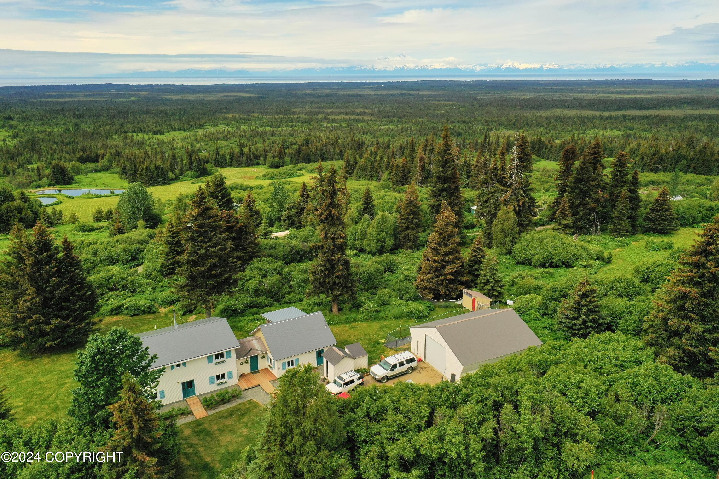 35621 N Fork Road, Anchor Point, Alaska image 42