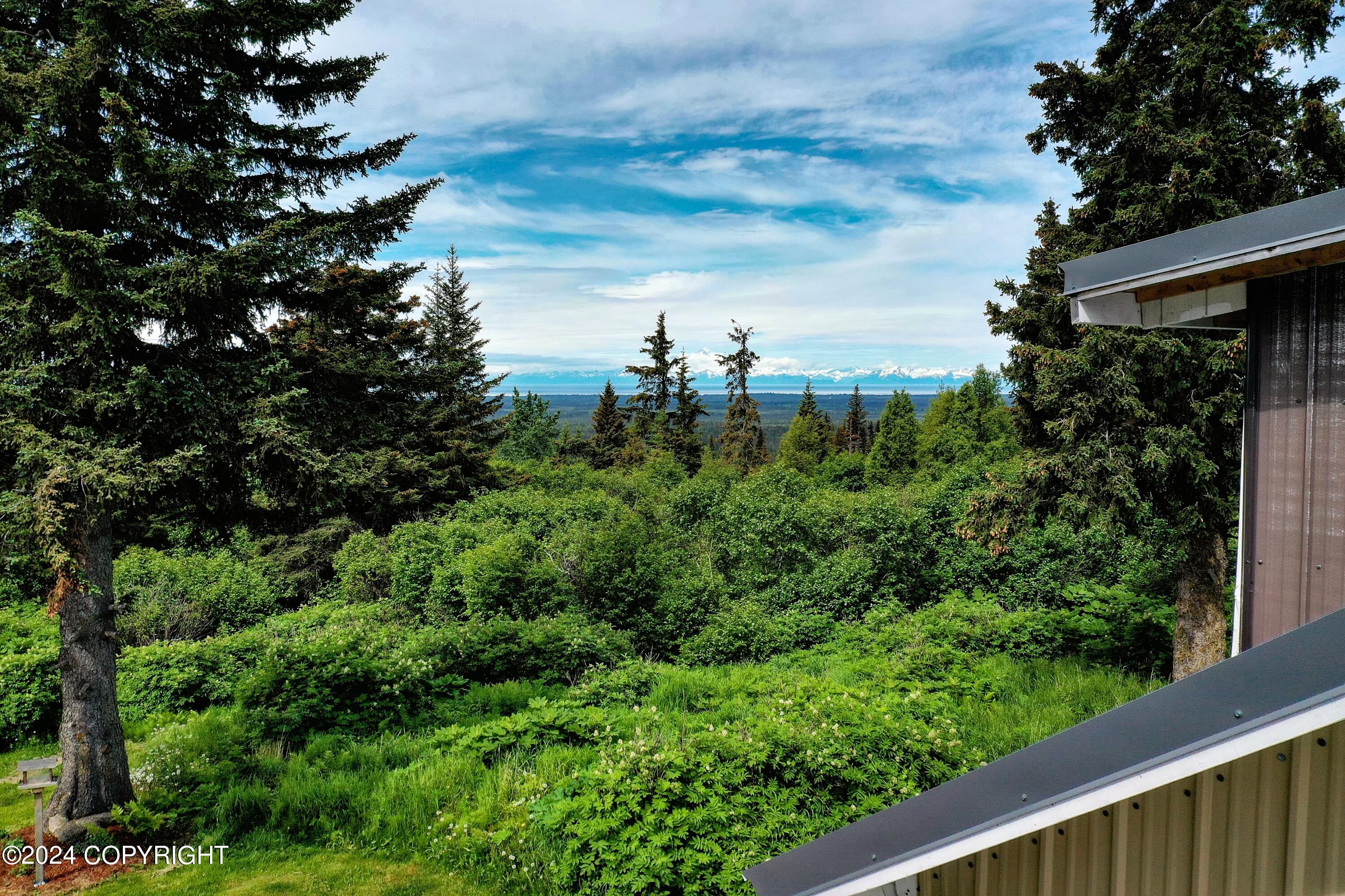 35621 N Fork Road, Anchor Point, Alaska image 36