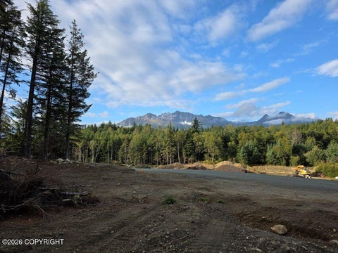 Photo of Lot 52 Cordes Drive, Haines, AK 99827 (MLS # 26-12159)