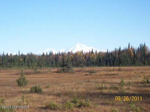 Vacant Land For Sale - TR H No Road<br/> Trapper Creek, AK 99683