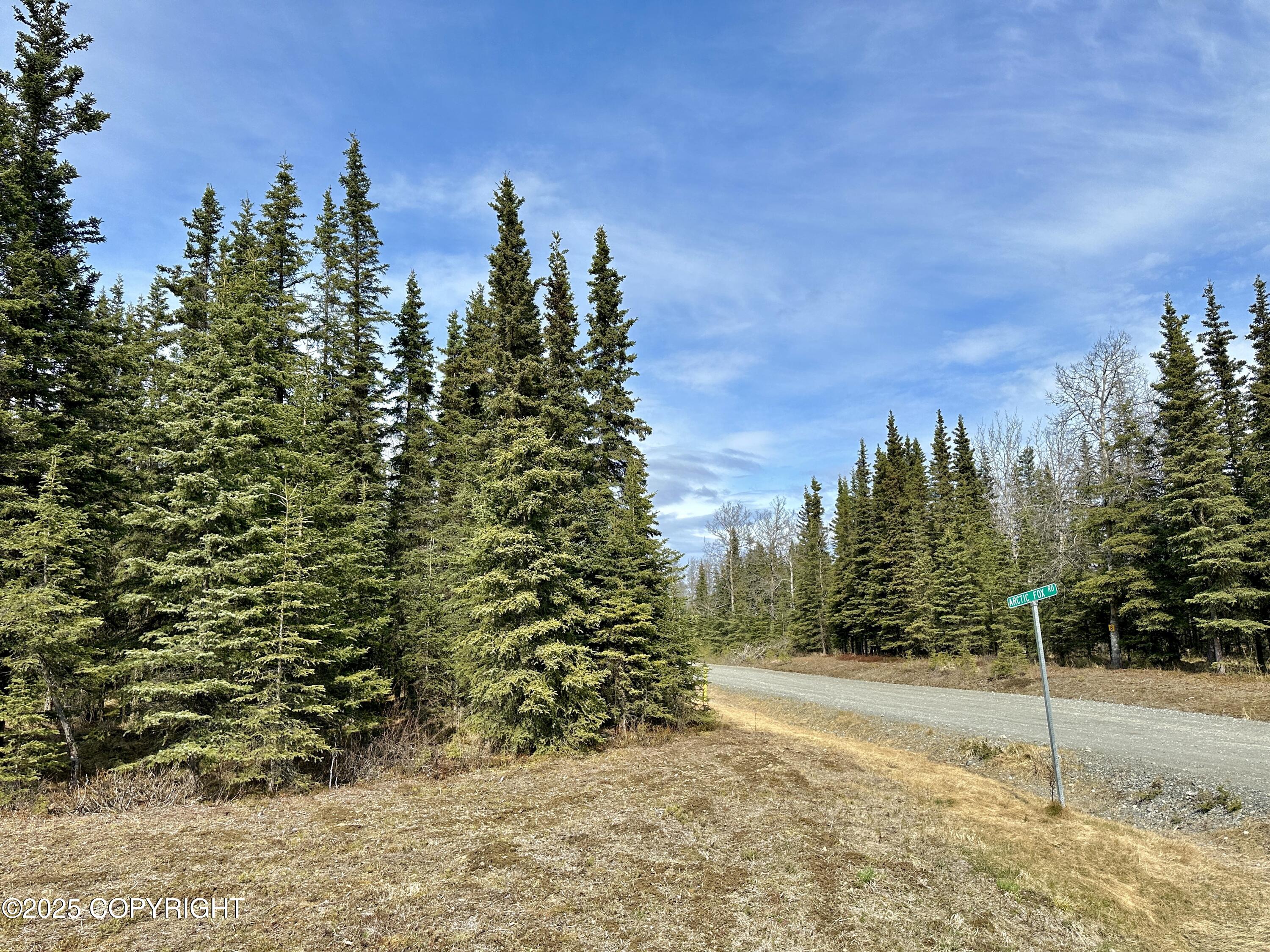 25006 Silver Fox Drive, Kasilof, Alaska image 16