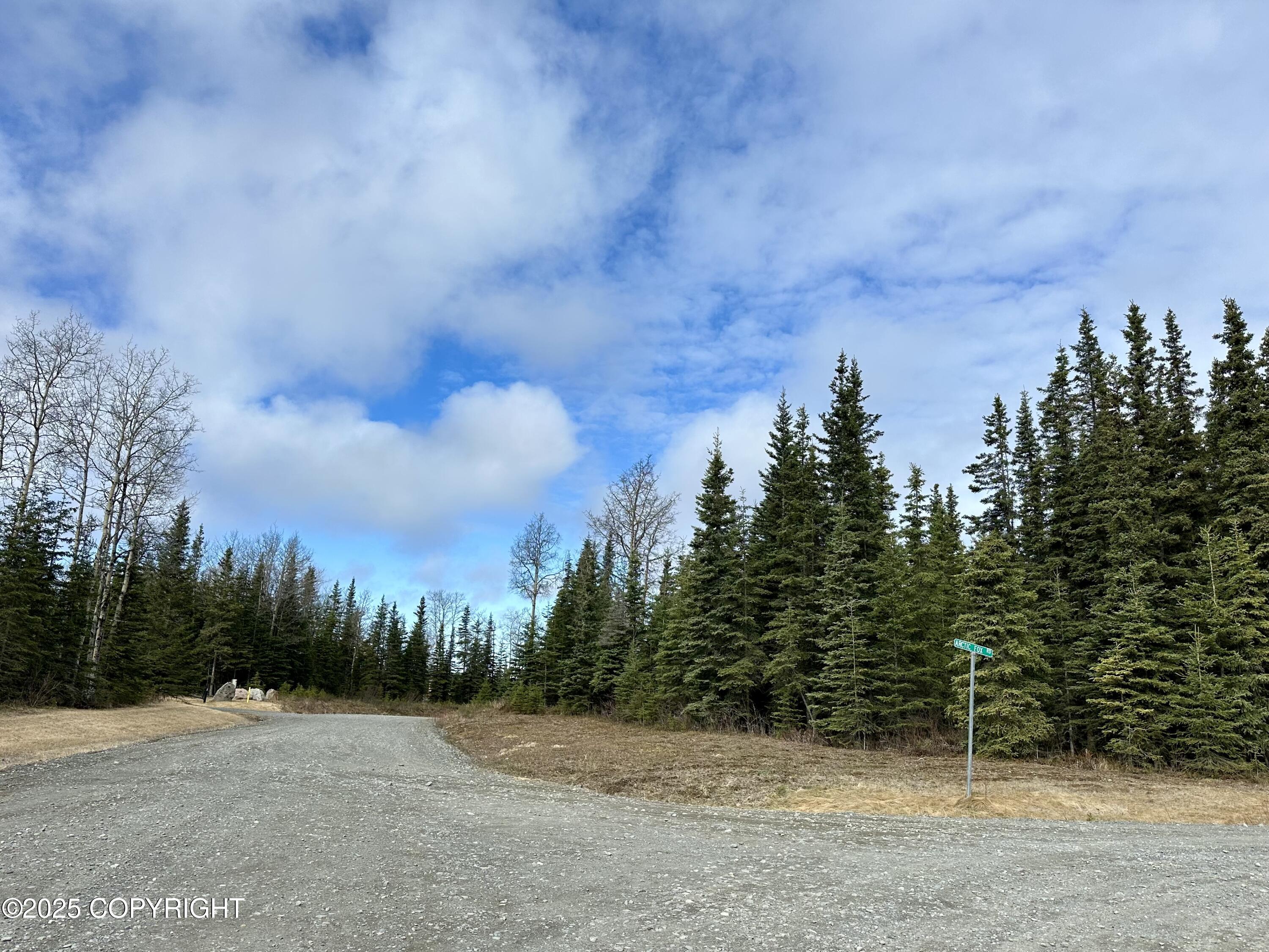 25006 Silver Fox Drive, Kasilof, Alaska image 4