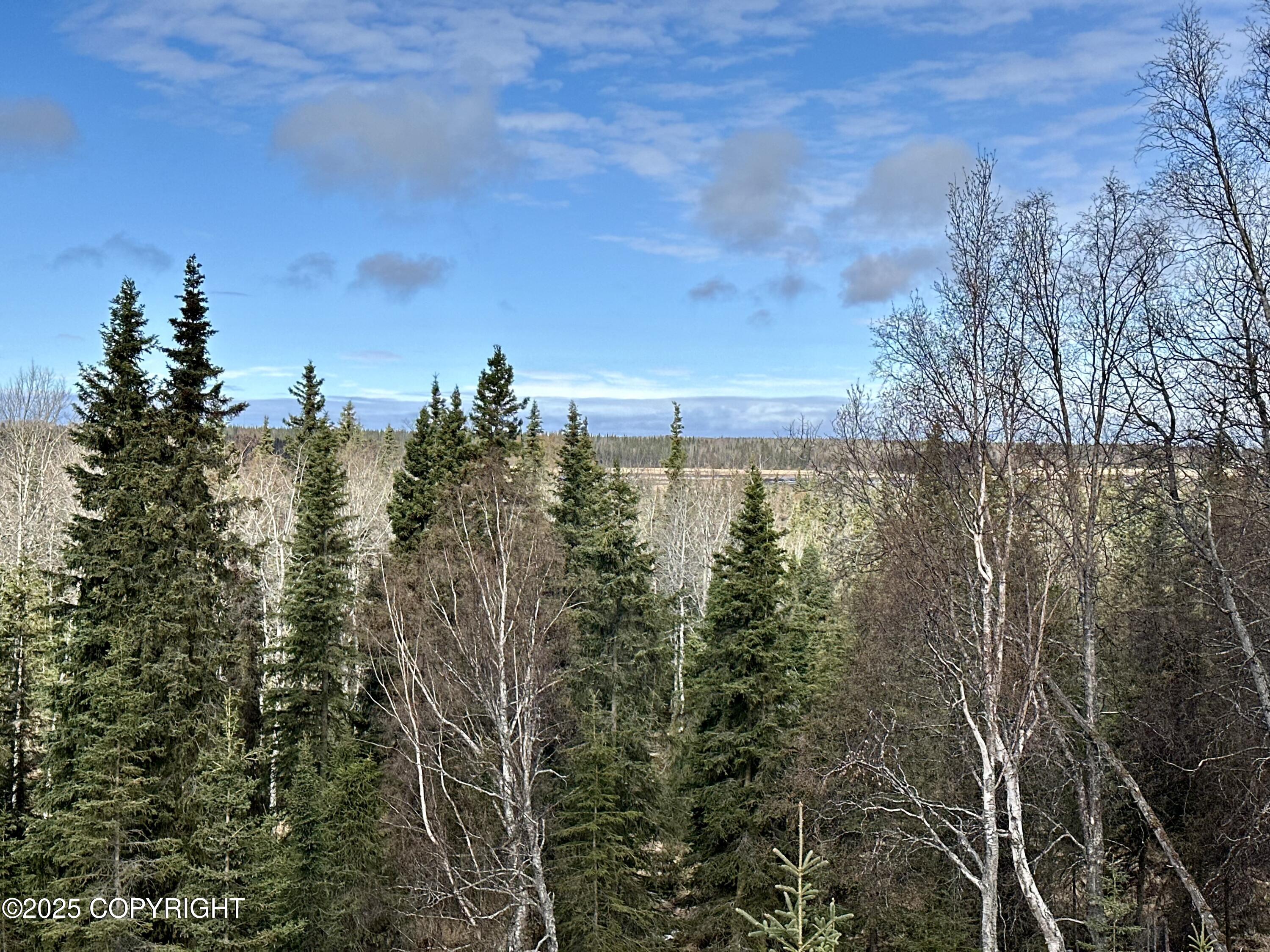 25006 Silver Fox Drive, Kasilof, Alaska image 6