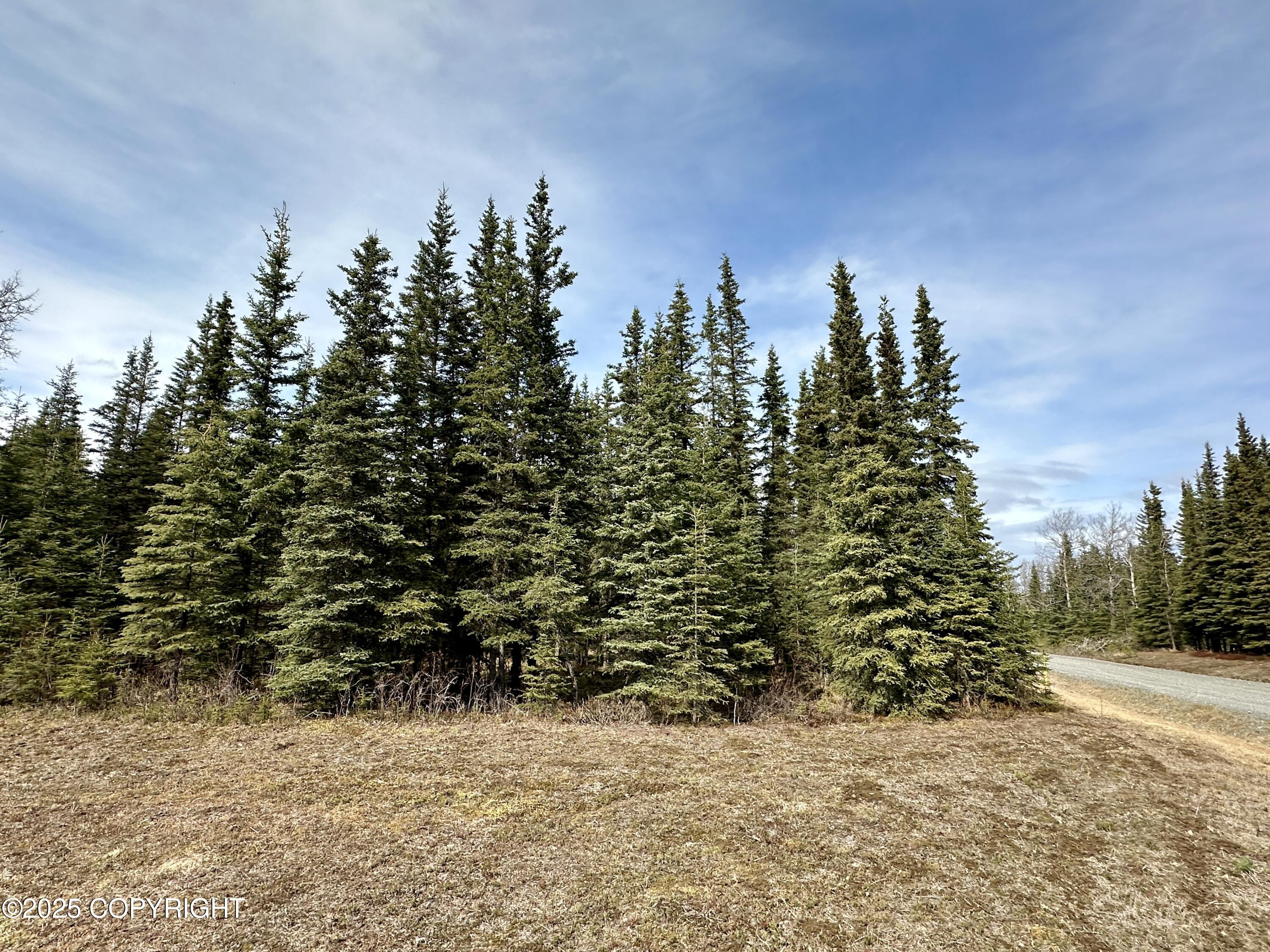 25006 Silver Fox Drive, Kasilof, Alaska image 15