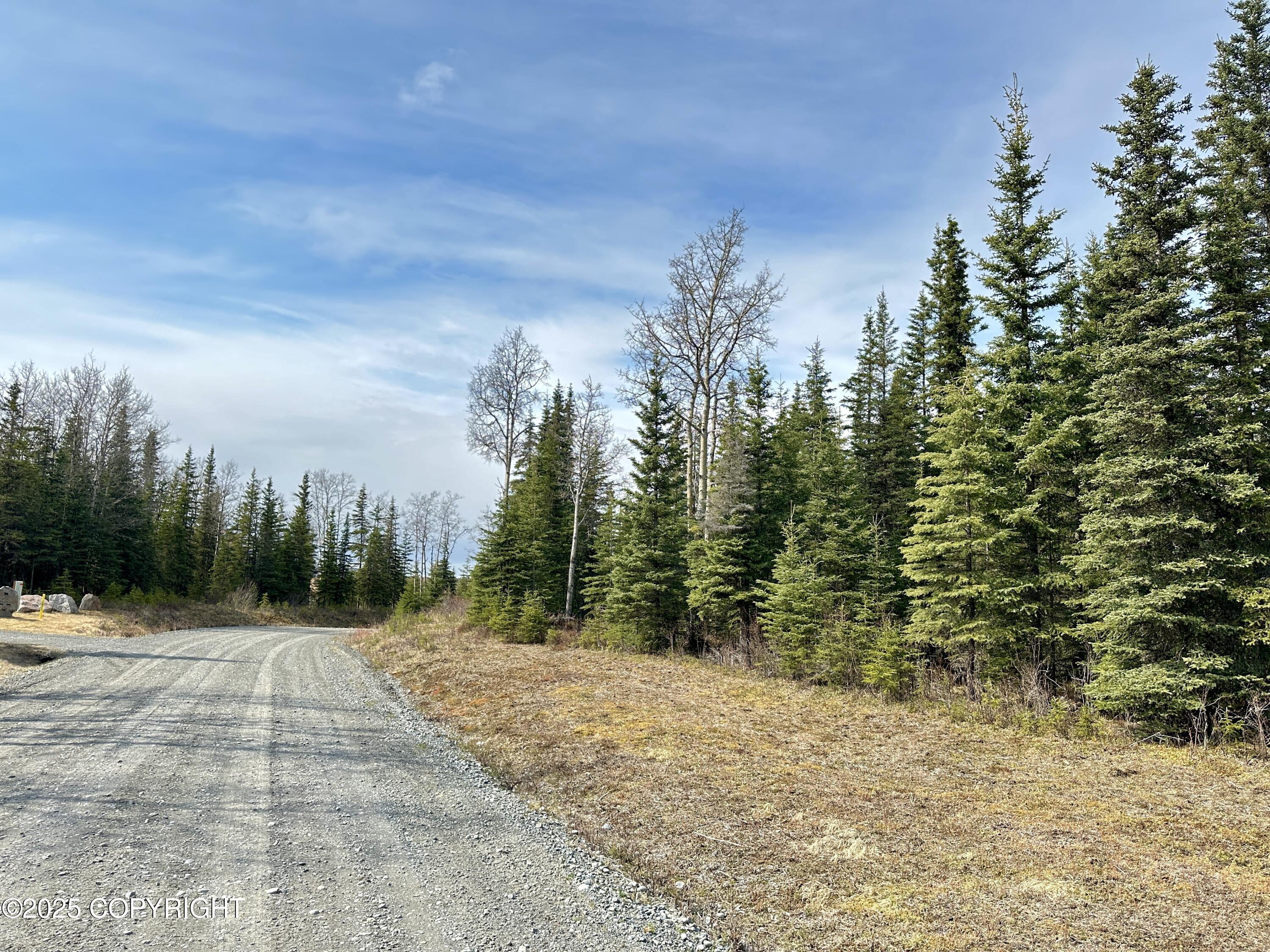 25006 Silver Fox Drive, Kasilof, Alaska image 3