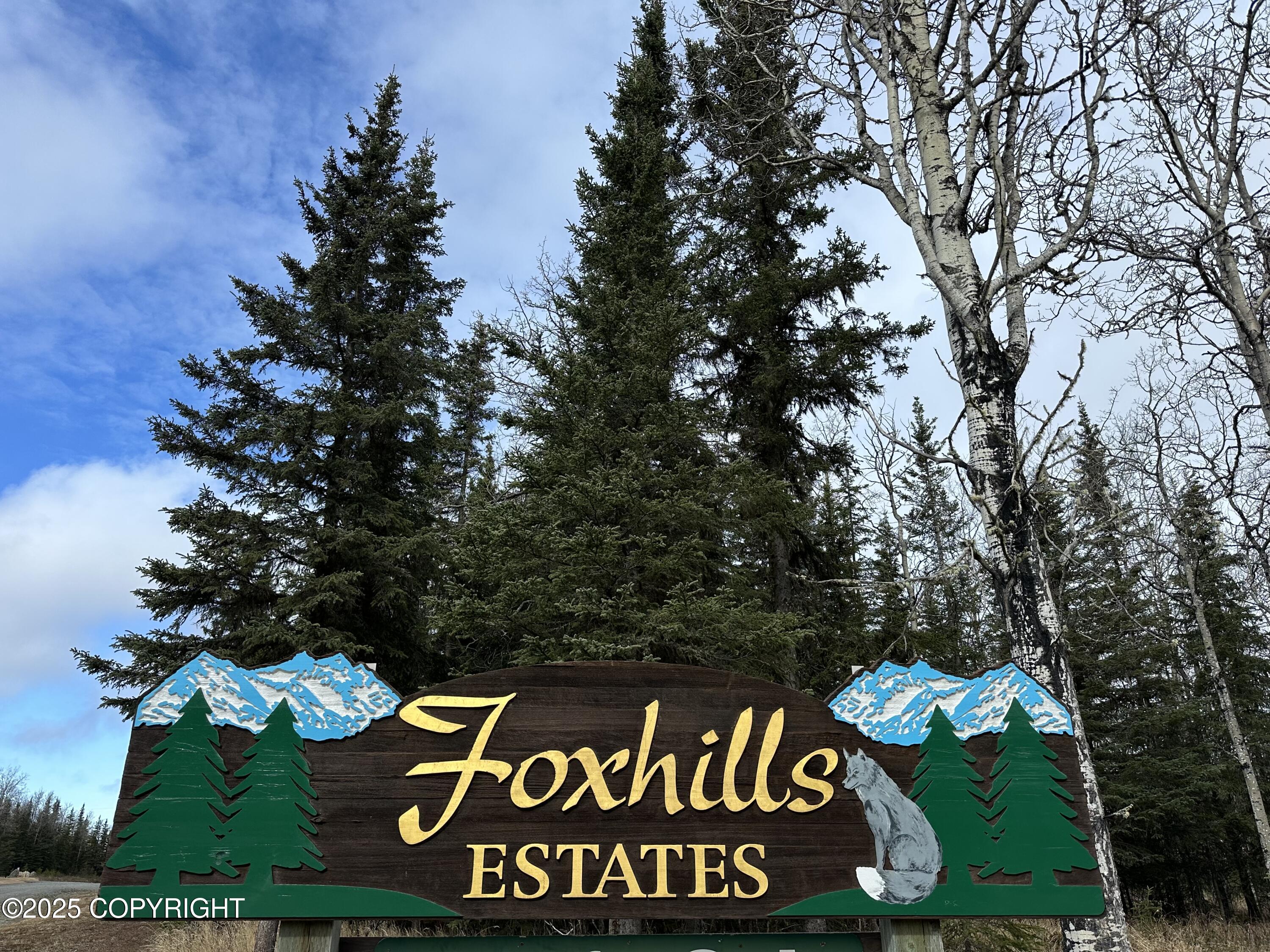25006 Silver Fox Drive, Kasilof, Alaska image 18