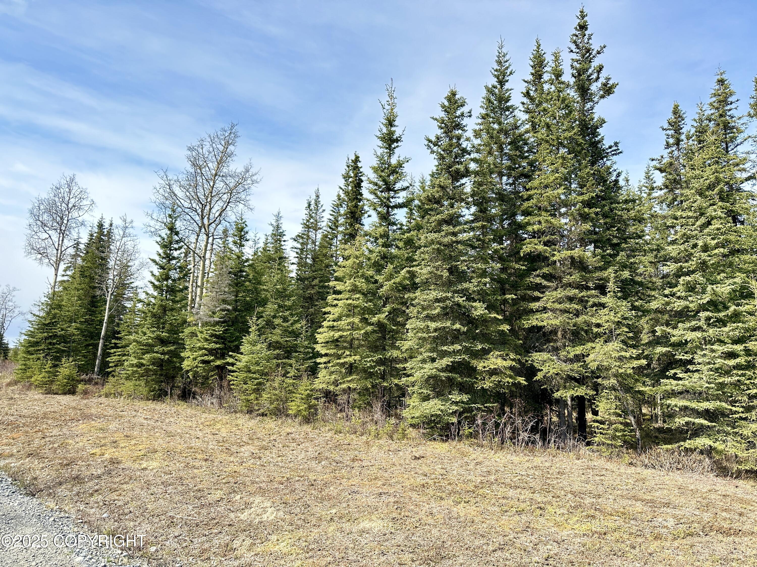 25006 Silver Fox Drive, Kasilof, Alaska image 14