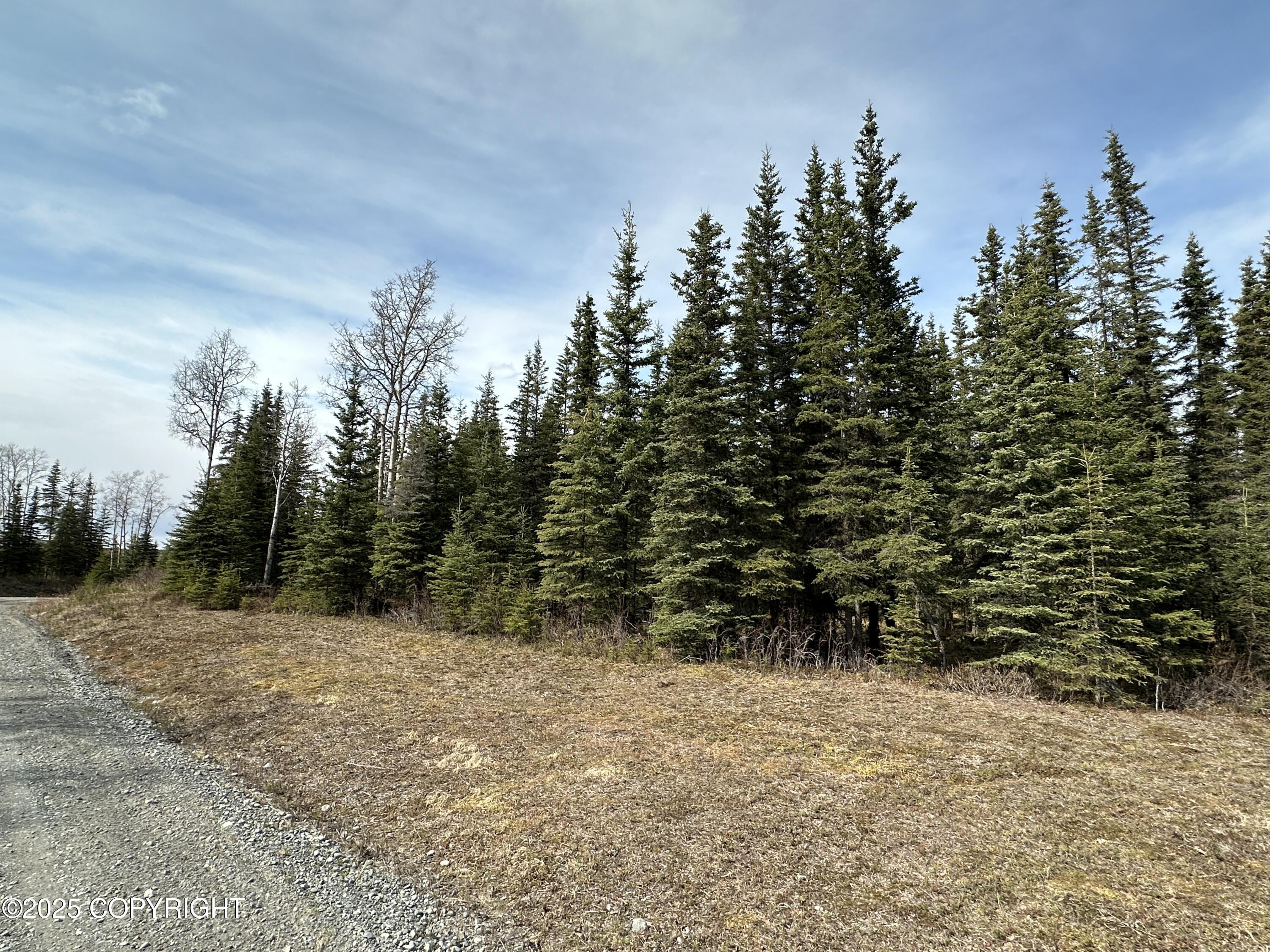 25006 Silver Fox Drive, Kasilof, Alaska image 17