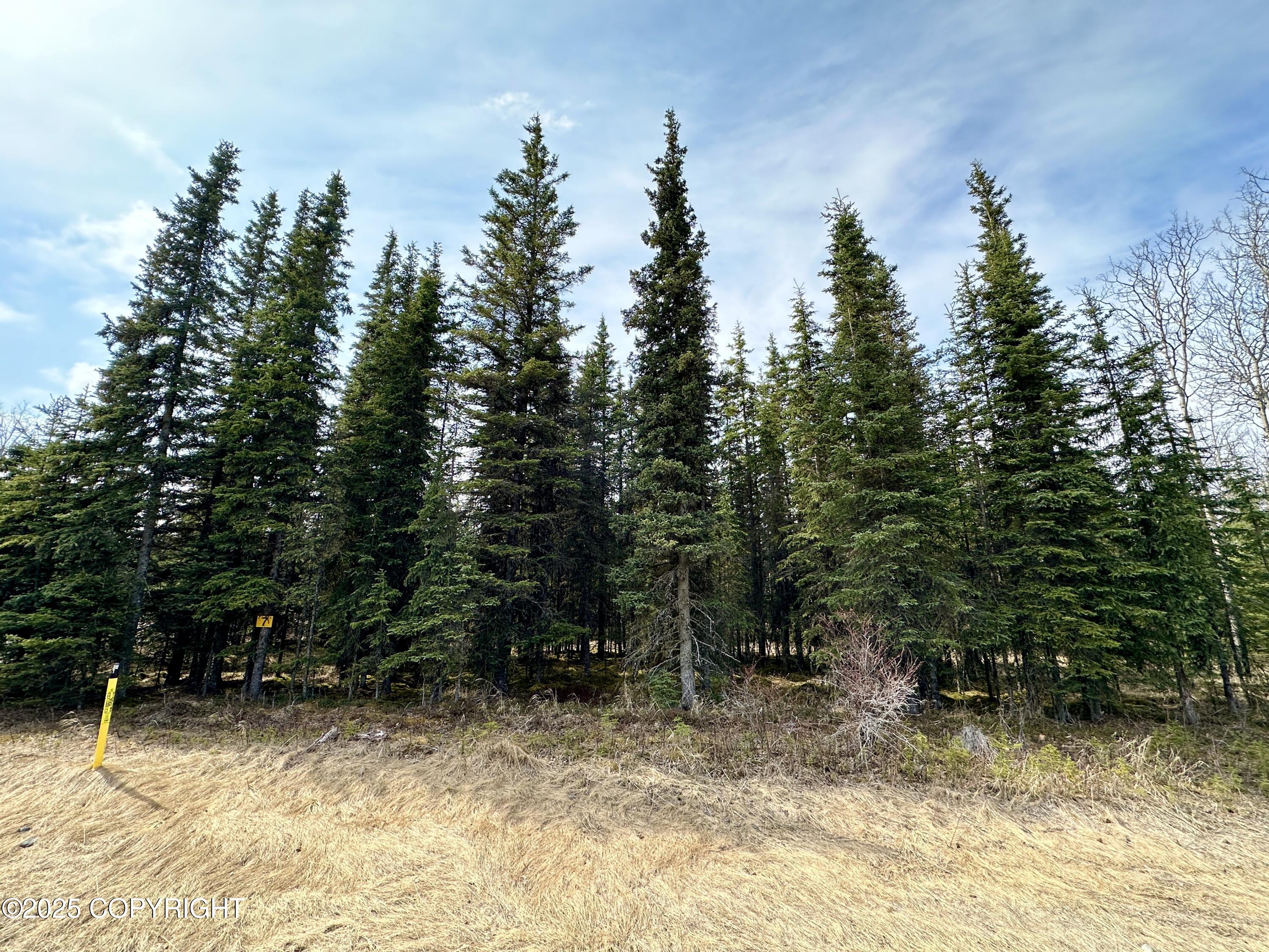 25006 Silver Fox Drive, Kasilof, Alaska image 8
