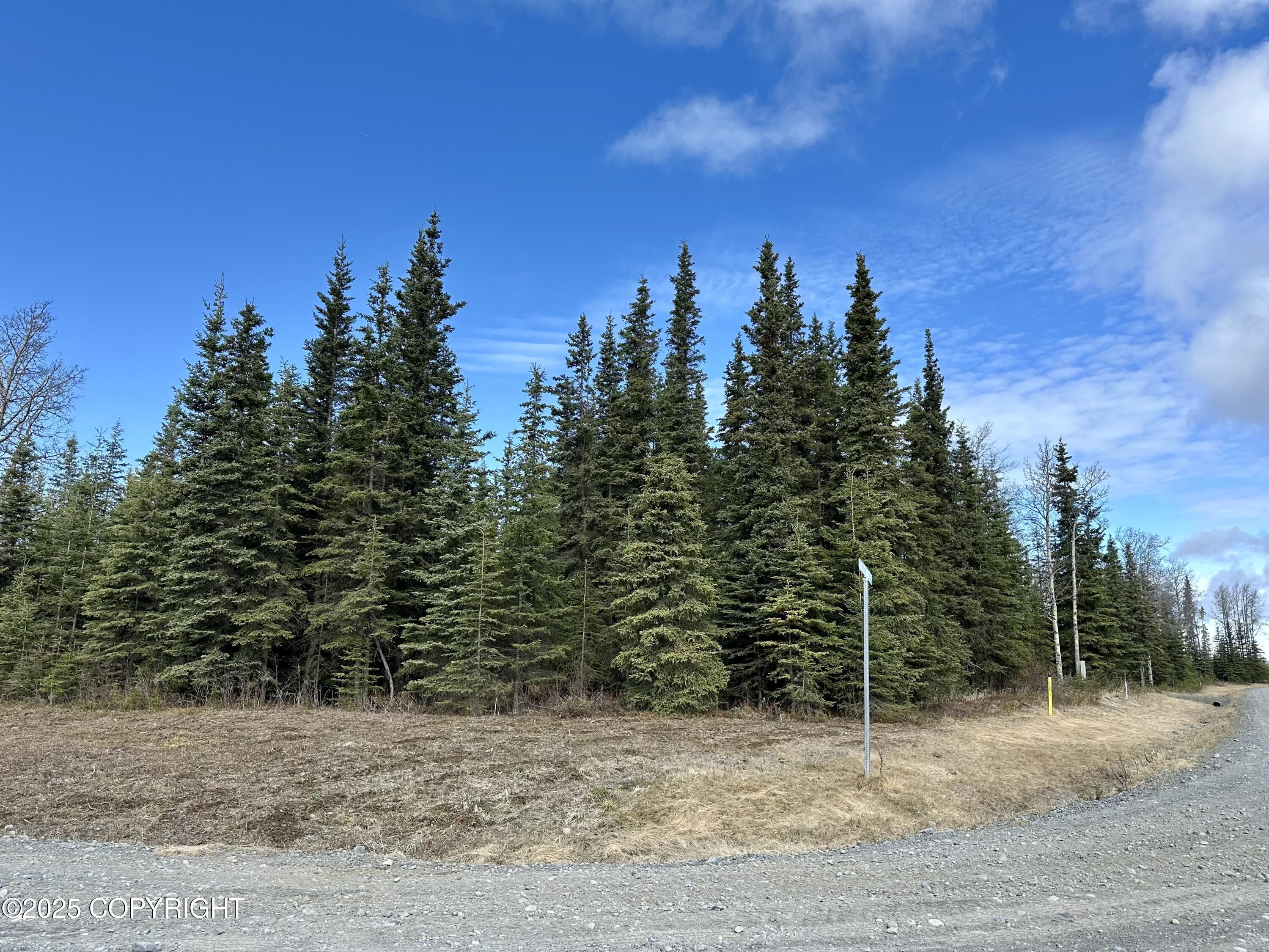 25006 Silver Fox Drive, Kasilof, Alaska image 10