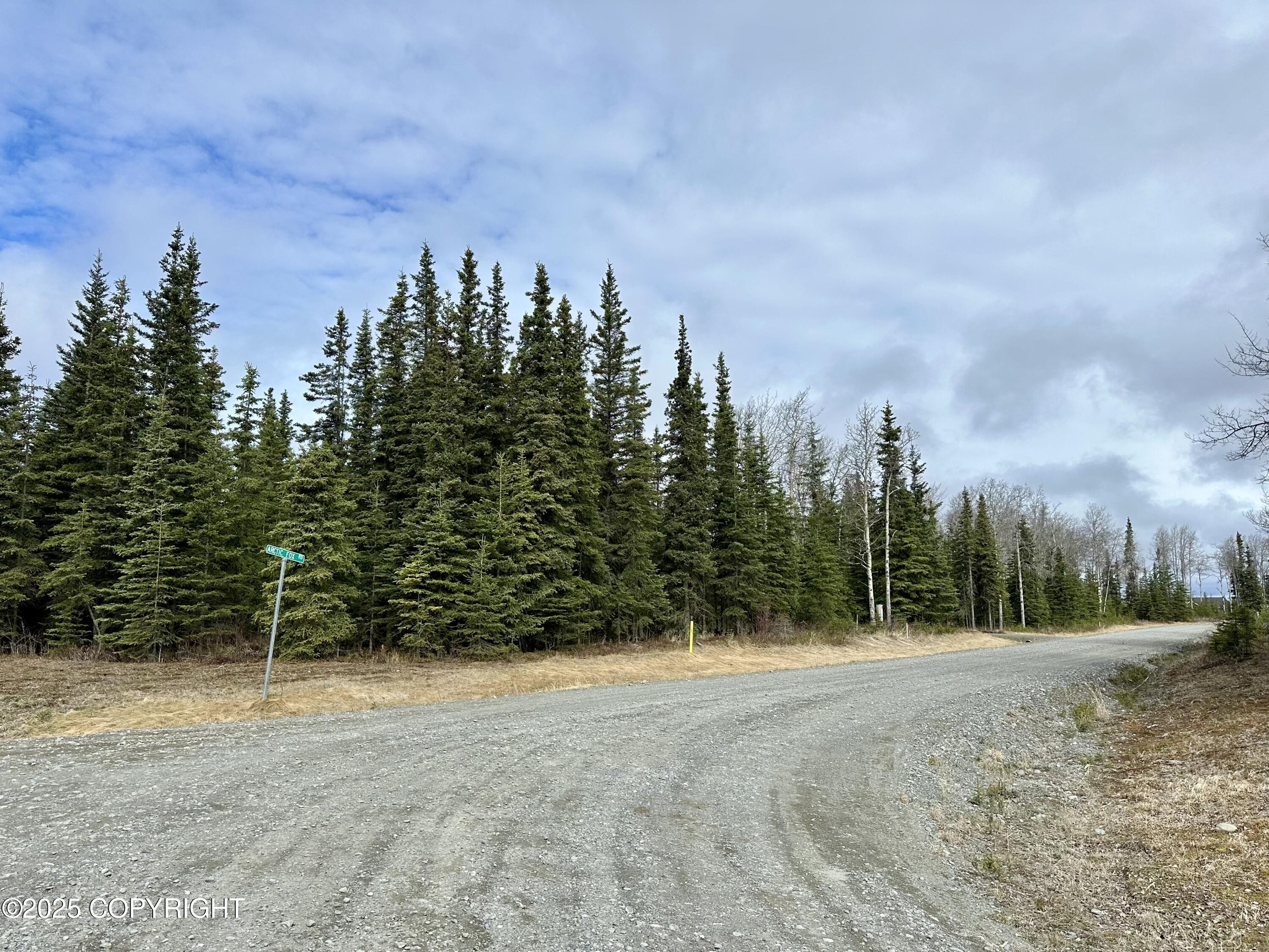 25006 Silver Fox Drive, Kasilof, Alaska image 11