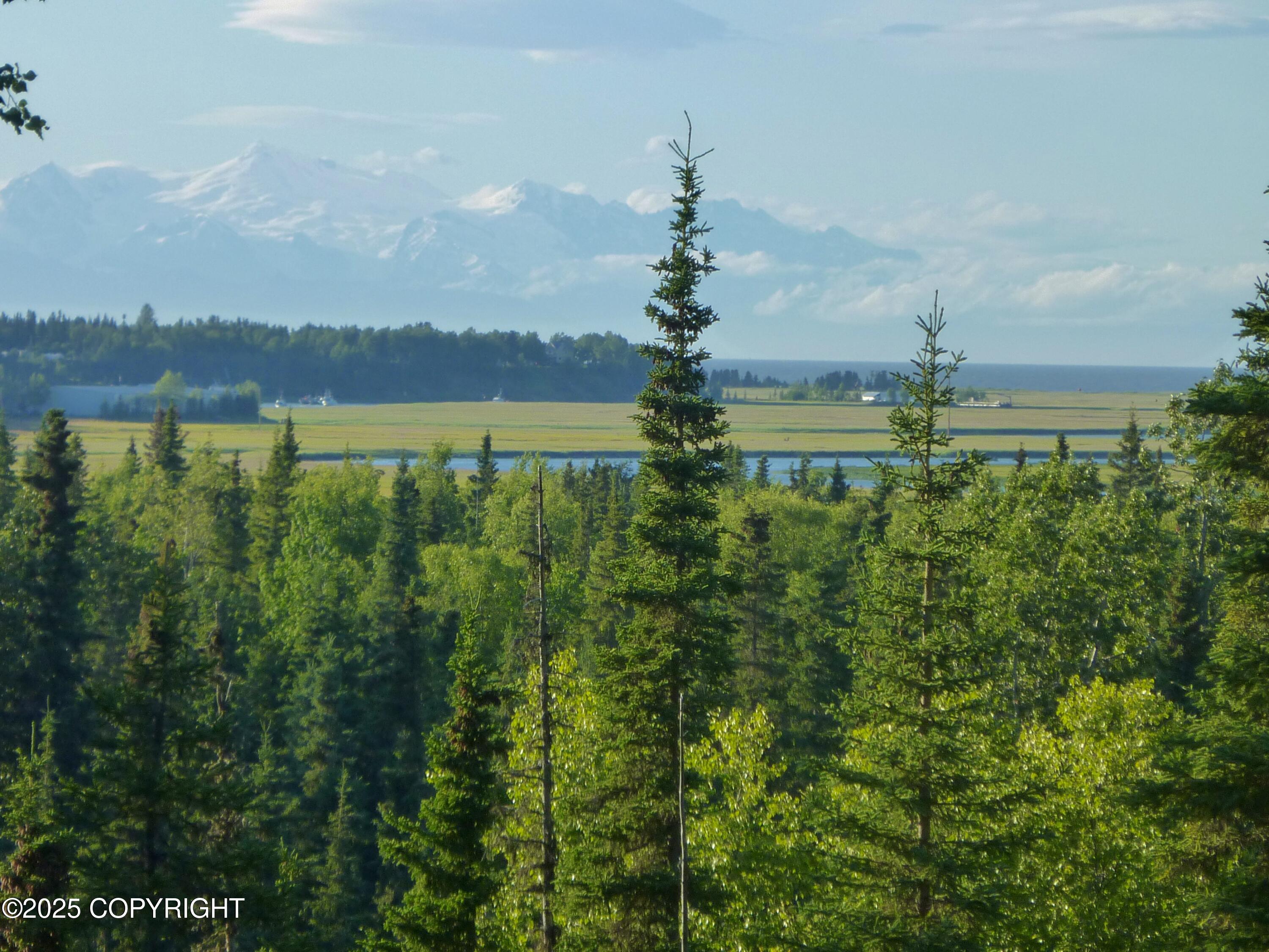 25006 Silver Fox Drive, Kasilof, Alaska image 1